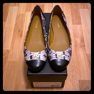 Coach Flats- Chelsea Snake/Matte Calf Size 6M